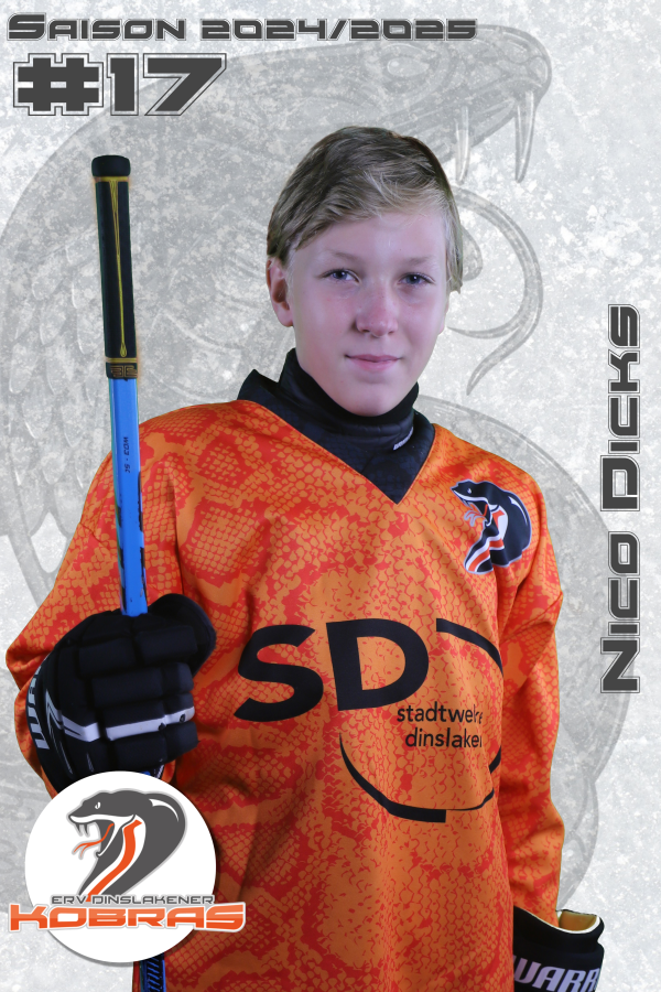 Player Card   2024 25   17   Nico Dicks